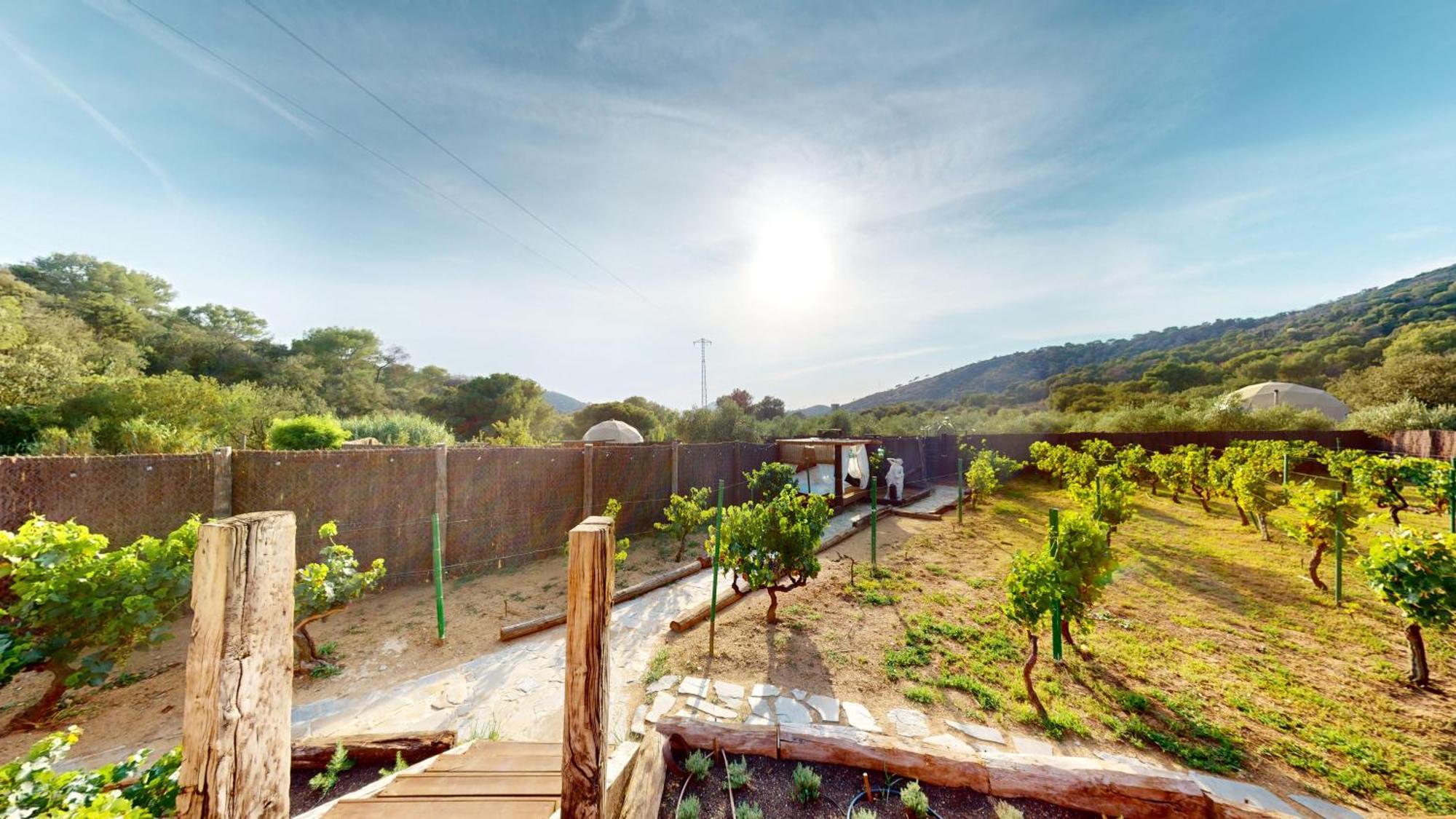 Domo Suites Masia Cal Geperut Badalona Esterno foto